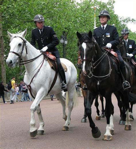 British Mounted Police Police Uniforms British History Police