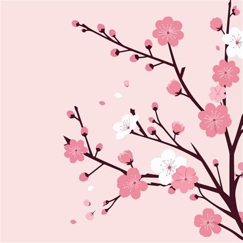 Premium Vector Sakura Flowers Illustration