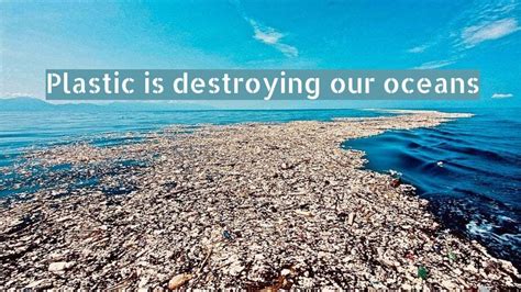 Plastic Pollution In The Oceans Is Killing Marine Life