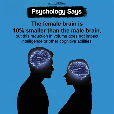 The Female Brain Is 10 Smaller Than The Male Brain Psychology Facts