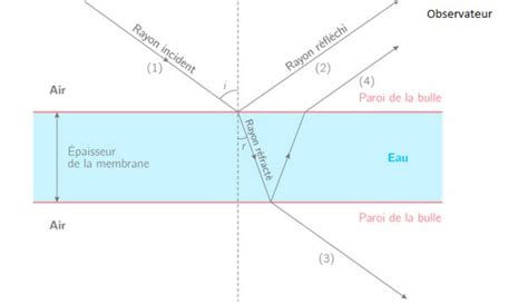 Exercices onde stationnaire et onde progressive. Exercices Onde Stationnaire Et Onde Progressive ...