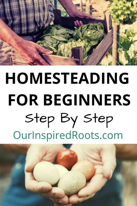 Wanting To Start Homesteading Here Is My Homesteading For Beginners