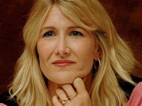 Download American Actress Laura Dern Pretty Face Wallpaper