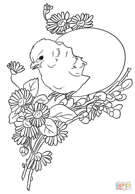 The section chicken coloring pages will remind us of ancient dispute: Easter Chick coloring page | Free Printable Coloring Pages
