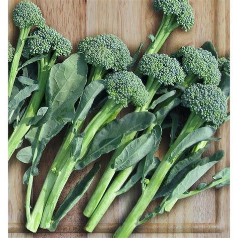 Bonnie Plants Harvest Select 25 Oz Artwork Stir Fry Broccoli 2 Pack