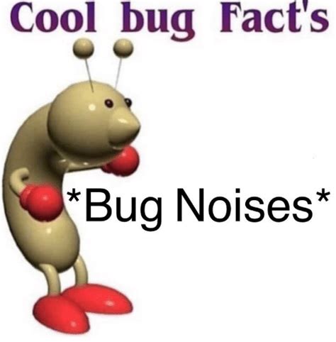 Bug Noises Cool Bug Facts Know Your Meme
