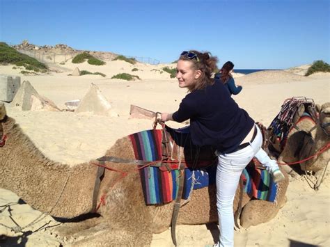 It has been the fastest mode of transport in deserts due to which it is also. Pin on Port Stephens