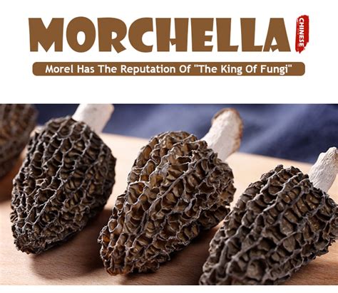 Chinese Natural Mushroom Growing Morchella Morel - Buy Morel,Morchella ...