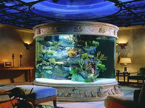 Soooooo Amazing Aquarium Decor Fish Tank Amazing Aquariums Cool