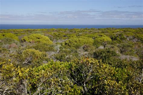 Sas Most Threatened Ecosystems Are Being Mapped To Safeguard Them