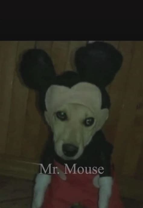 Cursed Mickey Mouse Rcursedimages