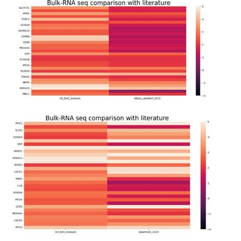 Comparison Of Gene Expression Profiles Of HD BA9 RNA Seq With Bulk RNA