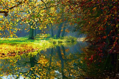 Landscape Nature Autumn Forest Trees River Reflection Wallpaper