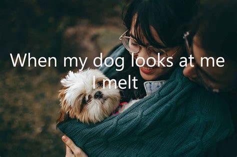 Explore To Get The Collection Of Ig Good Captions For Dogs See More