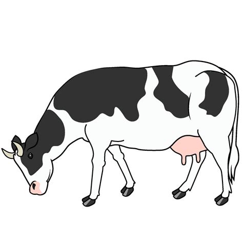 Dairy Cow Eating Grass Illustration Material Lots Of Free Illustration Materials Images
