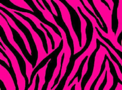 Pink And Black Zebra Print 28 High Resolution Wallpaper Pink Zebra