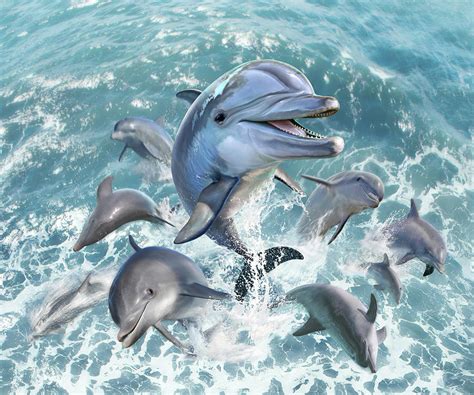 Dolphin Jump Digital Art By Jerry Lofaro Fine Art America