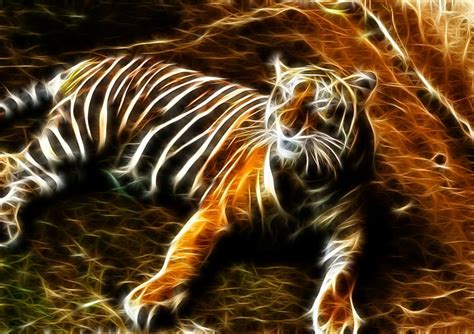 Free Download Hd Wallpaper Cats Tiger Wallpaper Flare