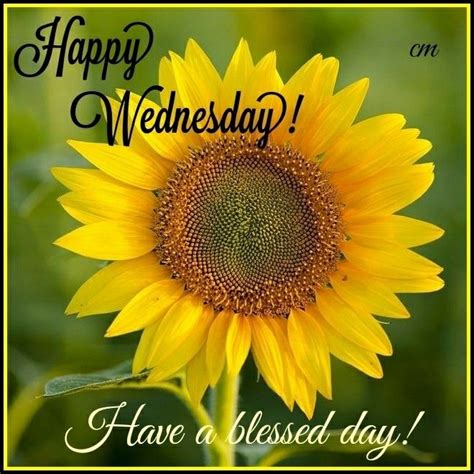 Happy Wednesday Have A Blessed Day Sunflower Wednesday