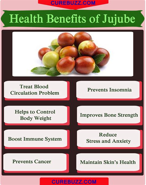8 Health Benefits Of Jujube Curebuzz