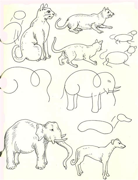 Studentsdrawing Animal Step By Step Easy Outline Drawing Elephant Cat Dog