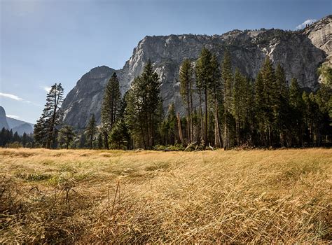 Grass Field And Trees Near Mountain During Daytime Yosemite Valley Hd