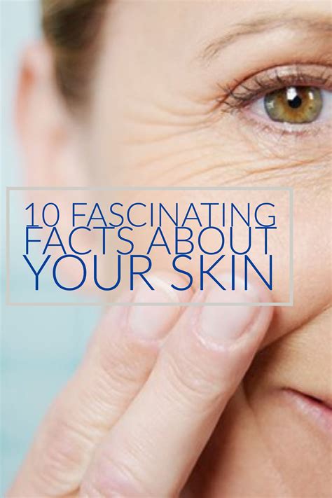10 Amazing Facts About The Skin Skin Facts Skin Fun Facts