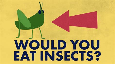 Would You Eat Insects To Save The World Youtube