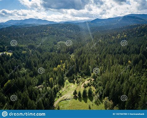 Aerial Drone Photo Of Green Forest In Mountain Park Stock Photo Image