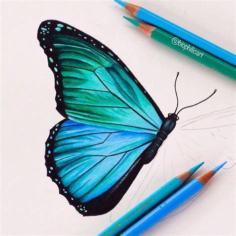 ⋆｡˚ 💫dani • Colorful Drawings Easy Butterfly Drawing Color Pencil Art