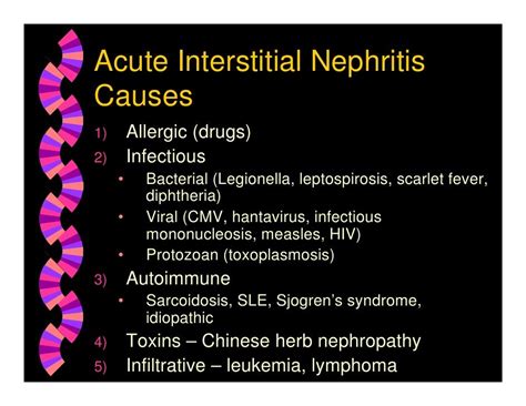 Image Result For Acute Interstitial Nephritis Studies Kidney