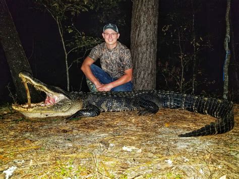 Florida Alligator Hunting Black Tine Outfitters Llc