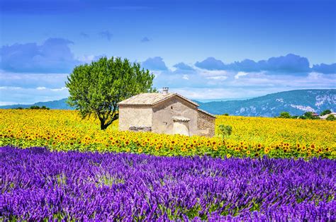 Finden Sie Inspiration Für Ihre Reise In Provence Alpes Côte Dazur