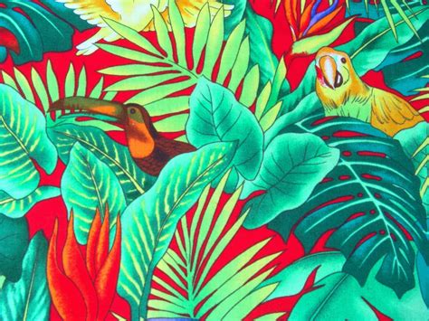 48 Tropical Print Wallpaper On Wallpapersafari