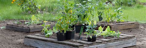 Eine der fragen, die wir wohl am häufigsten gestellt bekommen, ist die frage nach der optimalen matratze für ein. Gemüsebeet aus Paletten selber bauen - Anleitung @ diybook.de