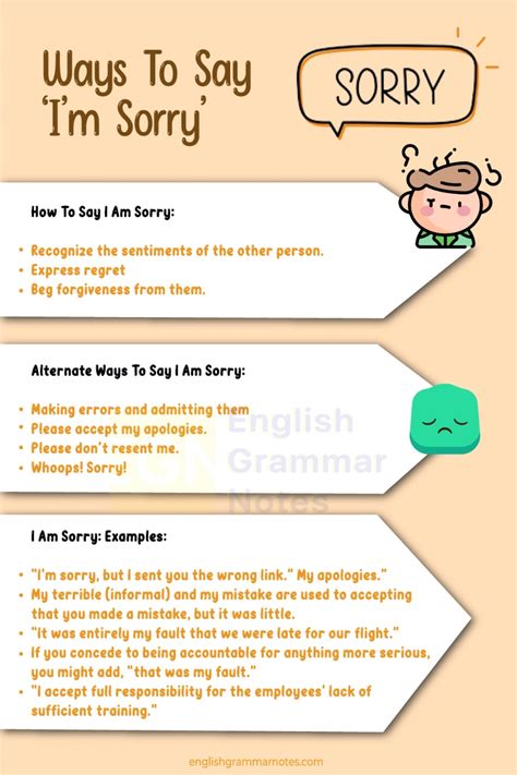 Ways To Say ‘im Sorry How To Say Examples And Alternative Ways To