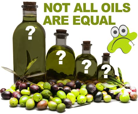 Why Is Extra Virgin Olive Oil Best Forest Edge Farm Extra Virgin Olive Oil Grove