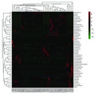 Heat Map Of The Relative Abundant Key Bacteria Genera The Color Download Scientific