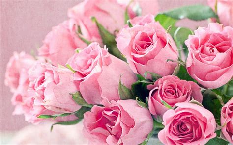 Why flowers and natural images are shared on internet? Fresh Flowers Bouquet Of Pink Roses Hd Desktop Backgrounds ...