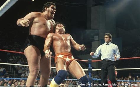 Who Knew Extraordinary Andre The Giant Documentary Reveals All