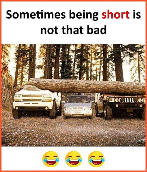 Being Short Is Not Bad Funny Memes Funny Pictures Funny Jokes Funny Pics Funny Quotes Sarcasm