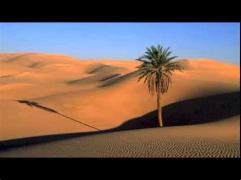 Hot deserts are an important ecosystem with distinct characteristics and adaptations. Sahara Desert Biome Project - YouTube
