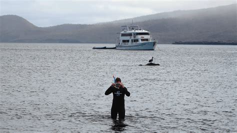 Yate Fragata La Mejor Opción En Cruceros A Las Islas Galápagos