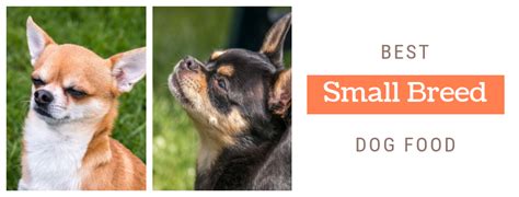 Top 5 dry puppy food for small breeds: Best Dog Food For Small Dogs (Top 5 Pick's Of 2019)