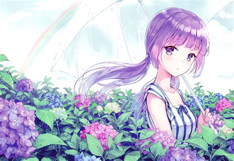 anime girl purple hair flowers umbrella anime hd wall