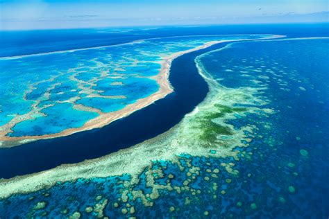 What You Need To Know Before Visiting Australias Great Barrier Reef