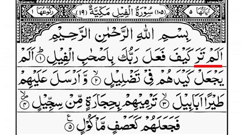 Learn Surah Al Fil Live Quran Surah Al Fil Word By Word With Spelling