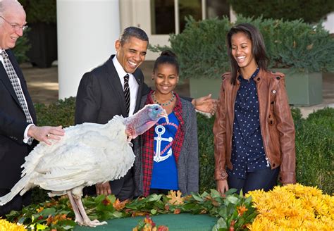 presidential pardoning of turkeys a thanksgiving tradition past its prime the washington post
