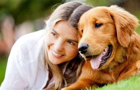 La Mirada Entre Perro Y Dueño Refuerza Su Unión Emocional Lado B