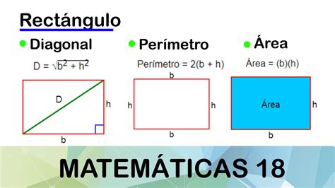 Rectángulo: Qué es, área, perímetro y diagonal — Matemáticas18